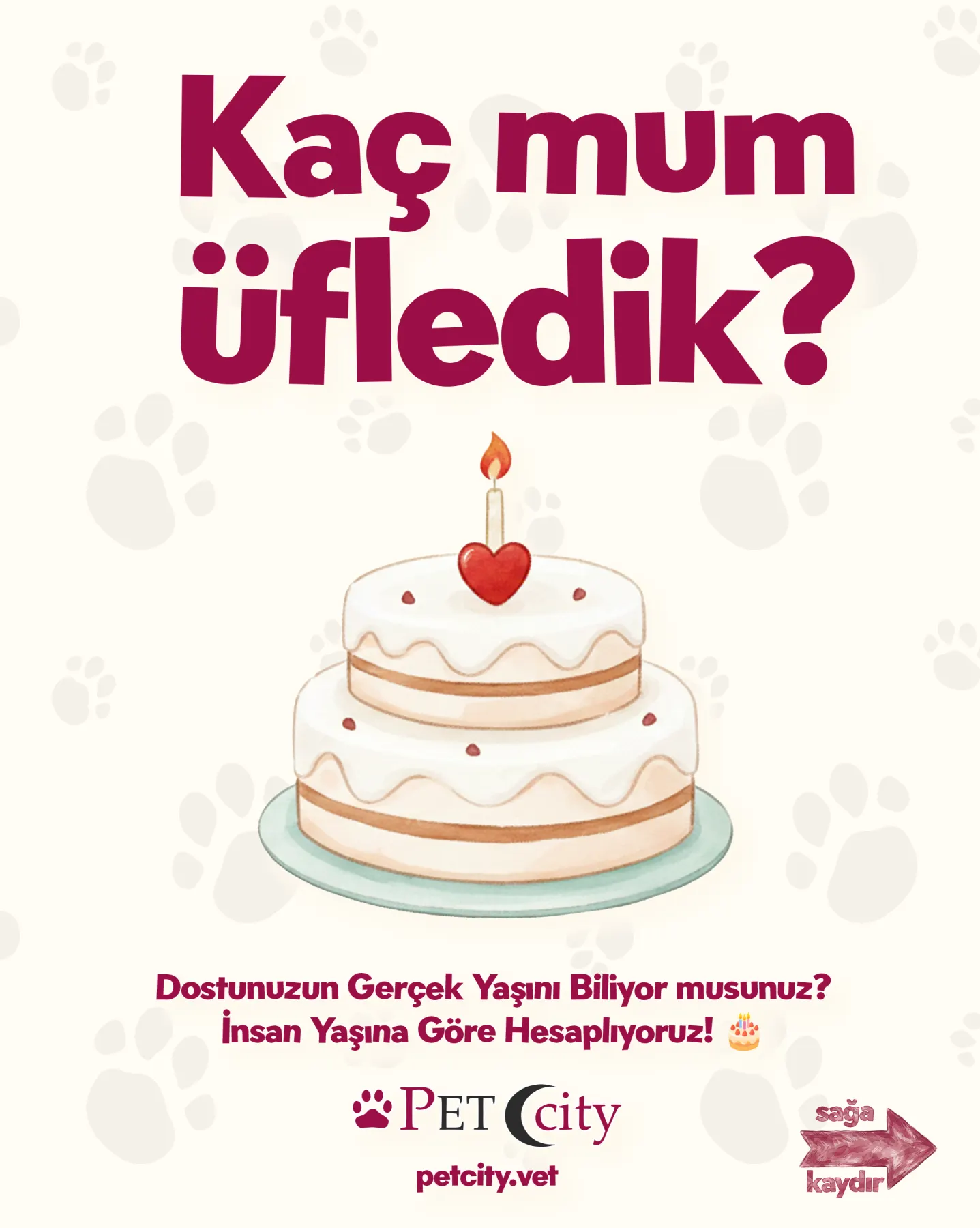 PetCity için hazırlanan evcil hayvan ürünü sosyal medya içeriği — çalışma 4